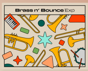 Native Instruments Brass'n Bounce